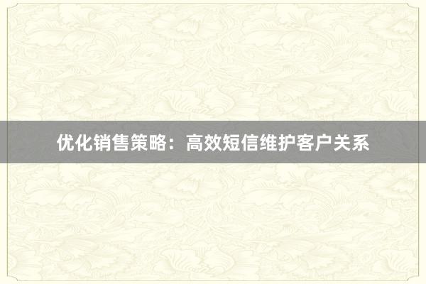 优化销售策略：高效短信维护客户关系